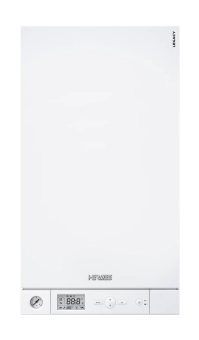 Газовый котёл отопления Legacy 100-W A1JB двухконтурный 34 кВт